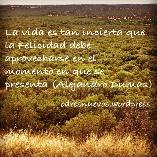 Disfruta la vida ahora