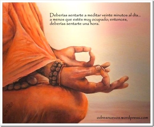 Odres Nuevos - Meditar