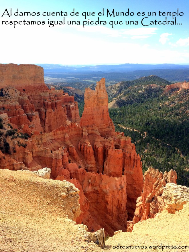 Odres Nuevos - Mundo Templo