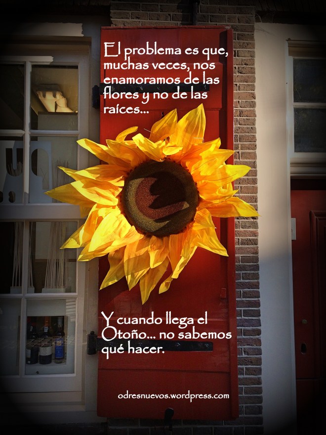 Odres Nuevos - Flores y Raíces