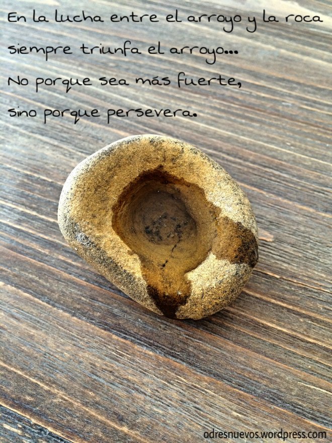 Odres Nuevos - Roca y Arroyo