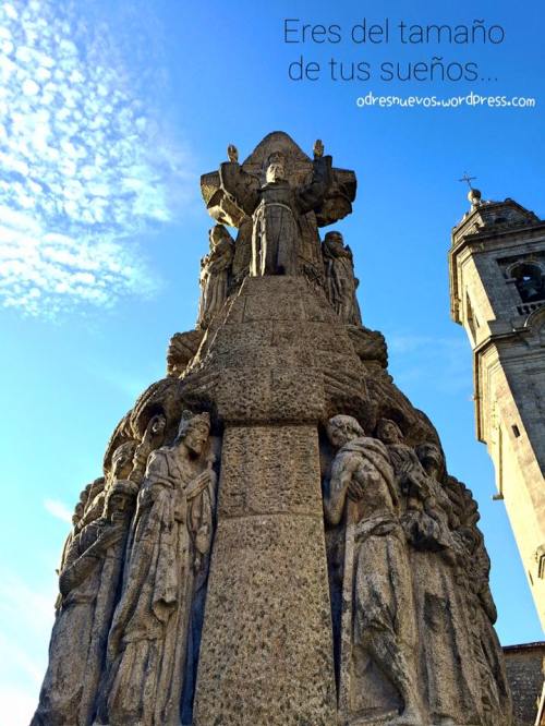 Odres Nuevos Tamaños