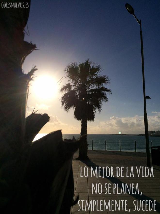 Odresnuevos - Sin planes