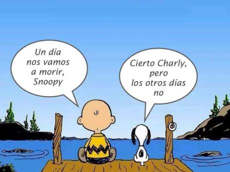 odresnuevos-snoopy
