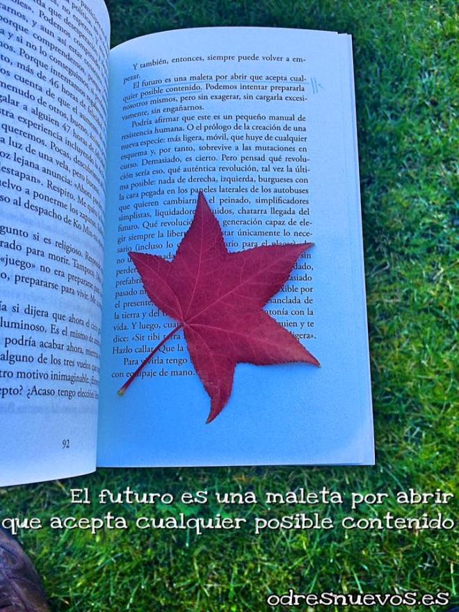 odresnuevos-viajar-ligero-fin